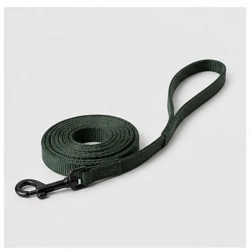 2 m Training Lead — Large